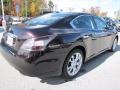Crimson Black - Maxima 3.5 SV Photo No. 5