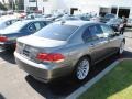 2007 Titanium Grey Metallic BMW 7 Series 750i Sedan  photo #10