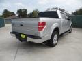 2010 Ingot Silver Metallic Ford F150 Lariat SuperCrew  photo #3