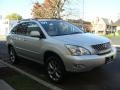 Tungsten Pearl - RX 350 AWD Photo No. 3