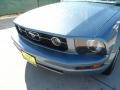2006 Windveil Blue Metallic Ford Mustang V6 Premium Coupe  photo #10