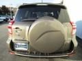 Pyrite Metallic - RAV4 I4 4WD Photo No. 12