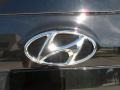2012 Twilight Black Hyundai Santa Fe Limited  photo #16