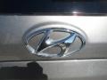 2012 Mineral Gray Hyundai Santa Fe SE V6  photo #18