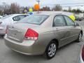 2007 Sand Beige Kia Spectra EX Sedan  photo #15