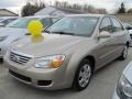 2007 Sand Beige Kia Spectra EX Sedan  photo #20