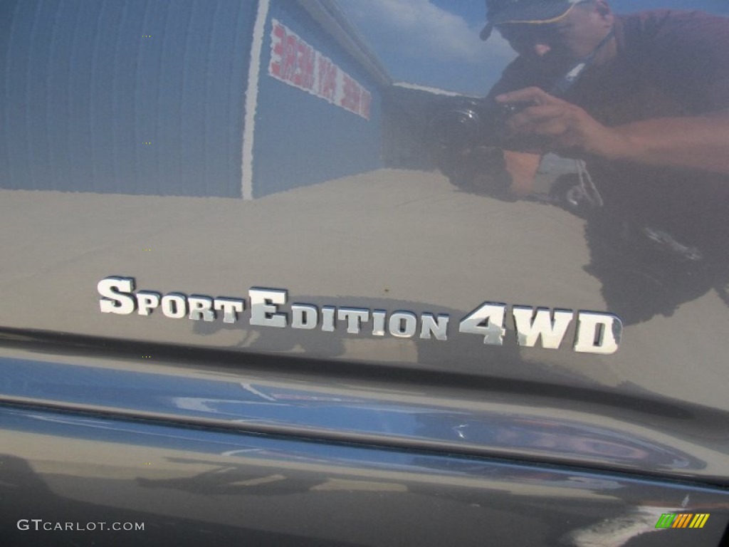 2004 4Runner Sport Edition 4x4 - Galactic Gray Mica / Stone photo #5