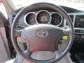 2004 Galactic Gray Mica Toyota 4Runner Sport Edition 4x4  photo #8