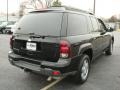 2006 Black Chevrolet TrailBlazer EXT LS 4x4  photo #5