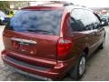 2007 Cognac Crystal Pearl Chrysler Town & Country Limited  photo #18