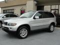 Titanium Silver Metallic - X5 3.0i Photo No. 3