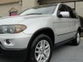 Titanium Silver Metallic - X5 3.0i Photo No. 6