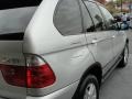 Titanium Silver Metallic - X5 3.0i Photo No. 11