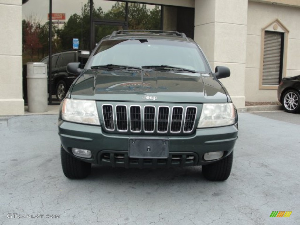 2001 Grand Cherokee Limited 4x4 - Shale Green Metallic / Taupe photo #5