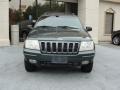 2001 Shale Green Metallic Jeep Grand Cherokee Limited 4x4  photo #5