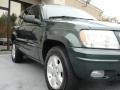 2001 Shale Green Metallic Jeep Grand Cherokee Limited 4x4  photo #6