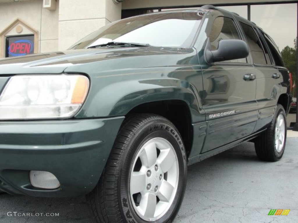 2001 Grand Cherokee Limited 4x4 - Shale Green Metallic / Taupe photo #7