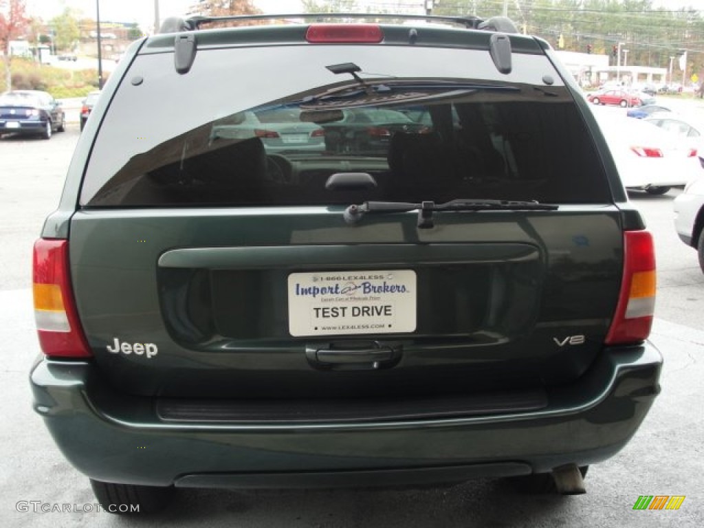 2001 Grand Cherokee Limited 4x4 - Shale Green Metallic / Taupe photo #8