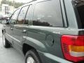 2001 Shale Green Metallic Jeep Grand Cherokee Limited 4x4  photo #9