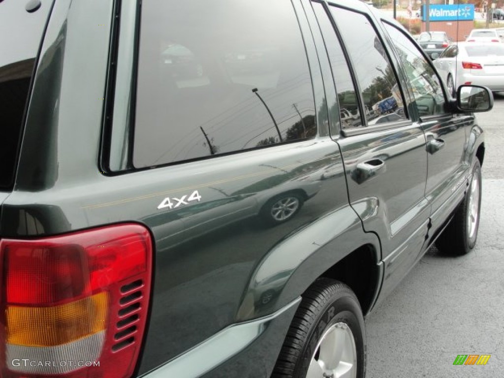 2001 Grand Cherokee Limited 4x4 - Shale Green Metallic / Taupe photo #10