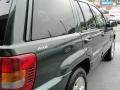 2001 Shale Green Metallic Jeep Grand Cherokee Limited 4x4  photo #10