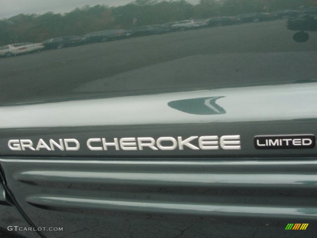 2001 Grand Cherokee Limited 4x4 - Shale Green Metallic / Taupe photo #11