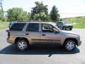 2003 Sandalwood Metallic Chevrolet TrailBlazer LS 4x4  photo #6