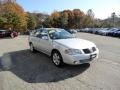 Brilliant Aluminum - Sentra 1.8 S Photo No. 1