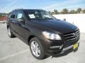 Dakota Brown Metallic - ML 350 4Matic Photo No. 1