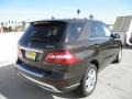 Dakota Brown Metallic - ML 350 4Matic Photo No. 4