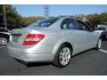 2008 Iridium Silver Metallic Mercedes-Benz C 300 4Matic Luxury  photo #6