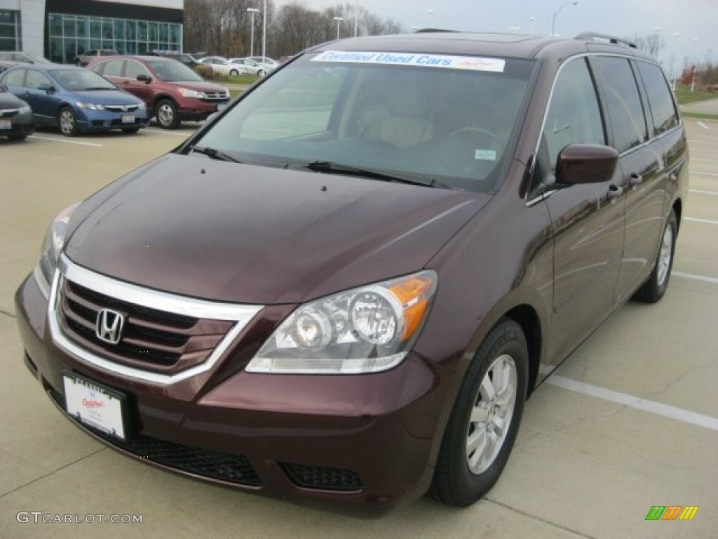 2010 Odyssey EX-L - Dark Cherry Pearl / Beige photo #1