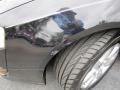 Deep Black - Passat 2.0T Sedan Photo No. 27