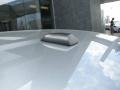 Silver Steel Metallic - 300 C HEMI Photo No. 26