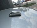 Silver Steel Metallic - 300 C HEMI Photo No. 27