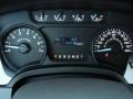 Steel Gray Gauges Photo for 2011 Ford F150 #56310186