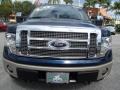 Dark Blue Pearl Metallic - F150 King Ranch SuperCrew 4x4 Photo No. 15