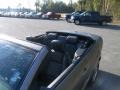 Vapor Silver Metallic - Mustang V6 Premium Convertible Photo No. 28