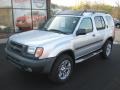 Silver Ice Metallic - Xterra SE V6 4x4 Photo No. 2