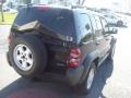 Black Clearcoat - Liberty Sport 4x4 Photo No. 5
