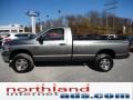 Mineral Gray Metallic - Ram 2500 SLT Regular Cab 4x4 Photo No. 5