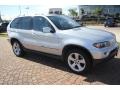 2004 Titanium Silver Metallic BMW X5 4.4i  photo #4