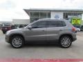 Alpine Grey Metallic - Tiguan SEL 4Motion Photo No. 2