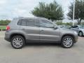 Alpine Grey Metallic 2010 Volkswagen Tiguan SEL 4Motion Exterior