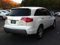 Aspen White Pearl - MDX Technology Photo No. 4