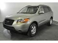 2008 Natural Khaki Green Hyundai Santa Fe GLS 4WD  photo #9