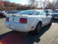 2006 Performance White Ford Mustang V6 Premium Coupe  photo #5
