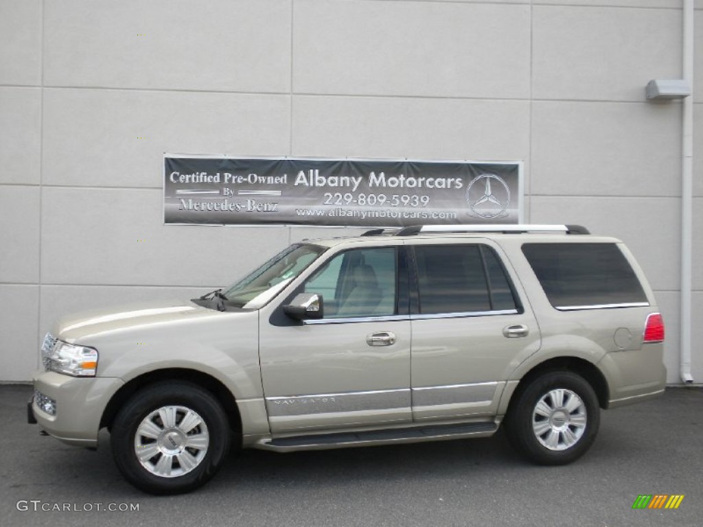 Light French Silk Metallic Lincoln Navigator