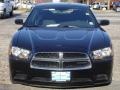 Brilliant Black Crystal Pearl - Charger SE Photo No. 2