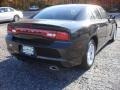 Brilliant Black Crystal Pearl - Charger SE Photo No. 4